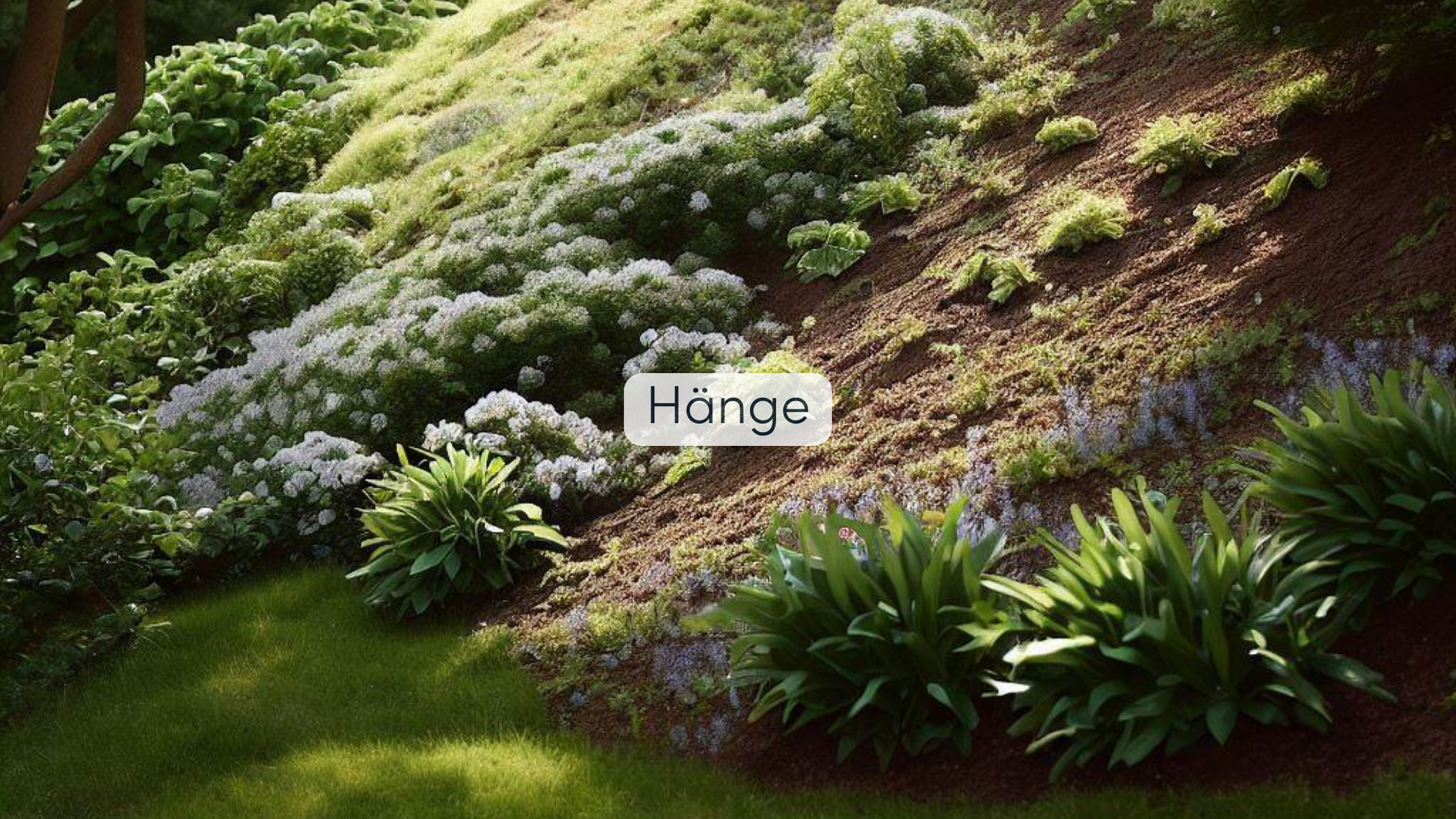 Garten Bepflanzung Hänge