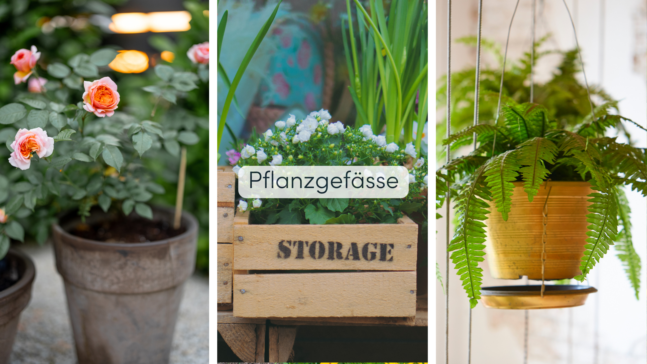 Garten Bepflanzung Pflanzgefässe