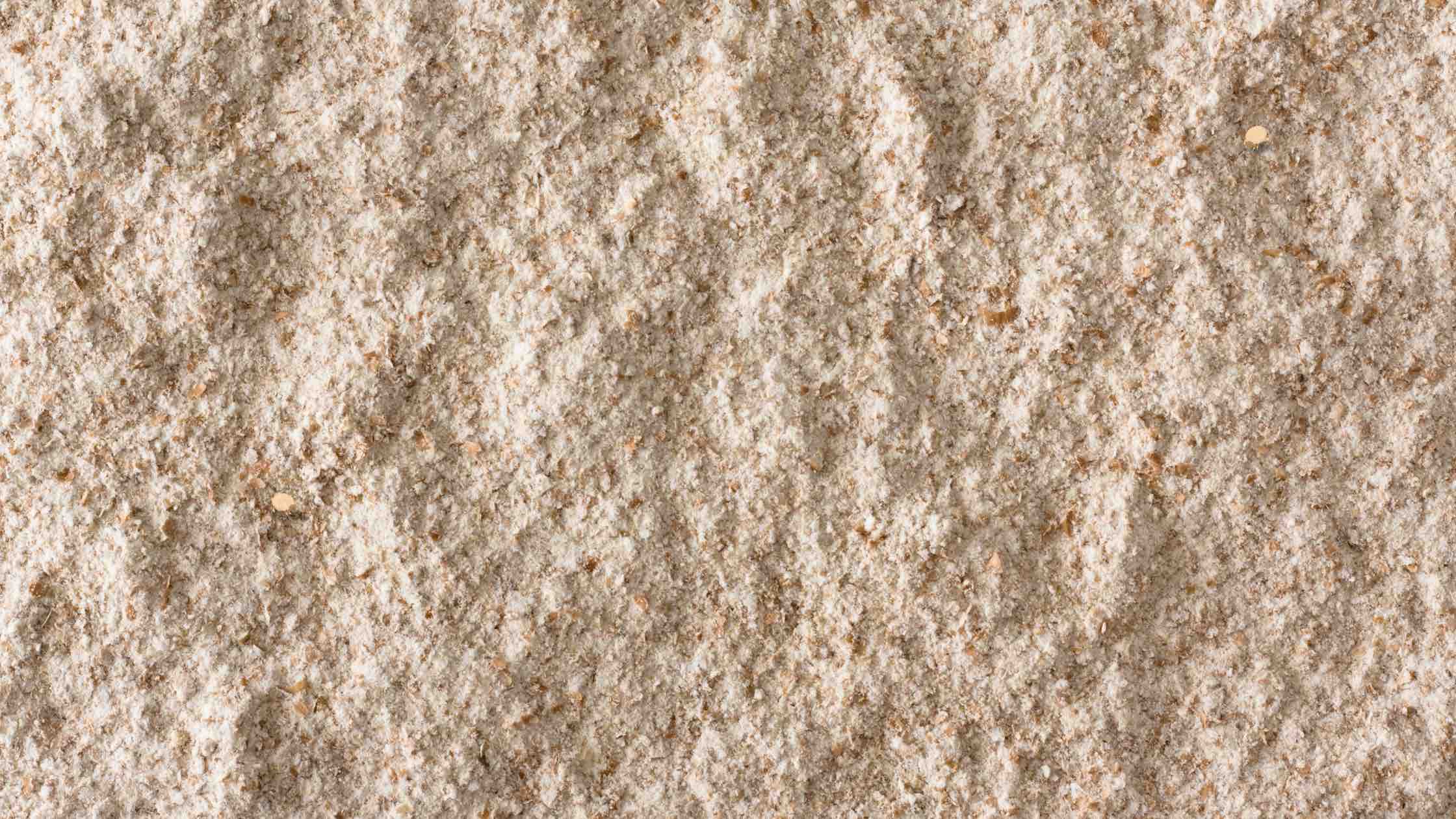 Mehlmilben bekämpfen header