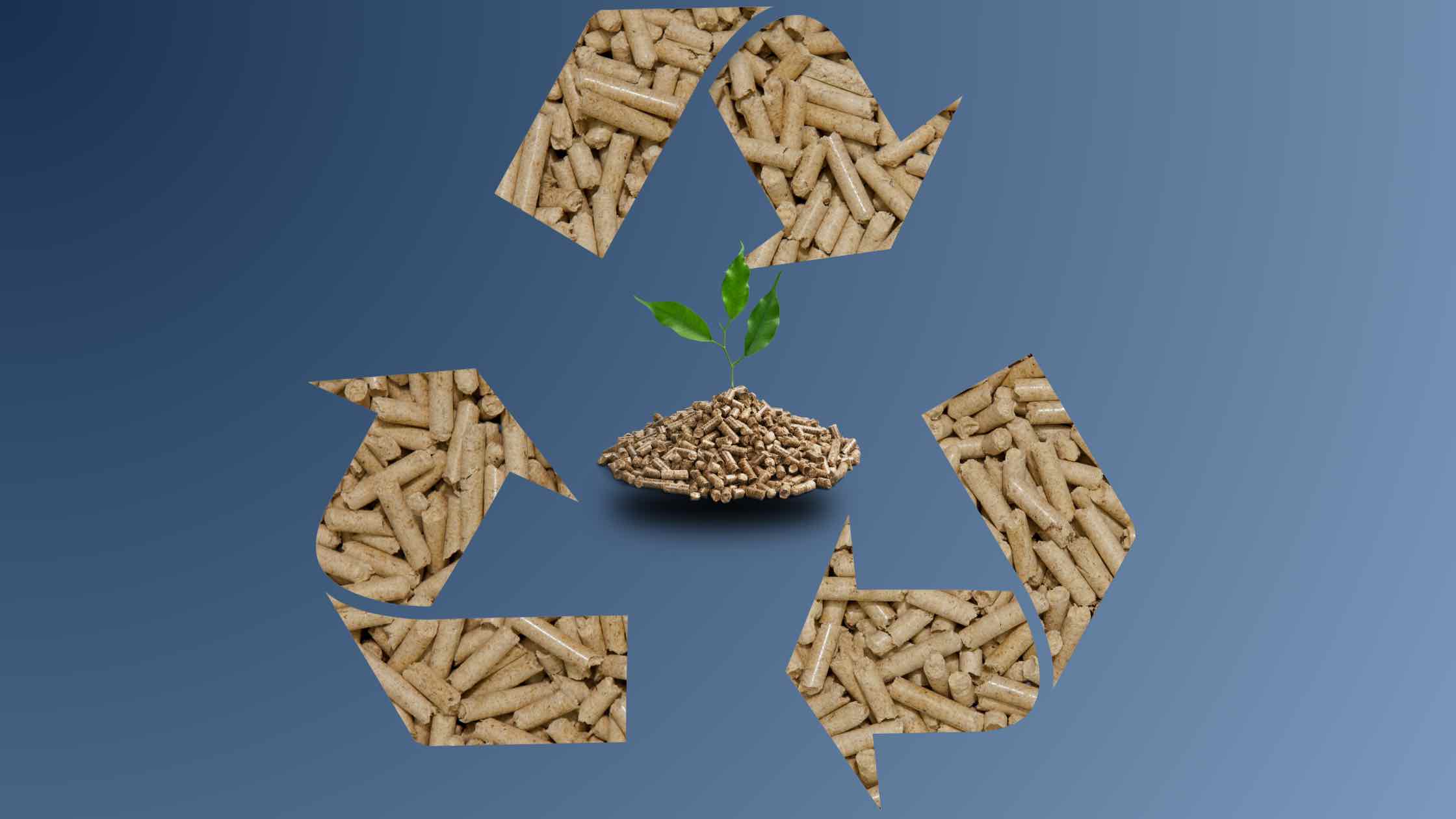 pelletheizung kosten, pelletheizung schweiz, steuerung, komfort, nachfüllung, system, pelletheizung, pellets, holzpellets, pelletheizungen, heizen, biomasse, emissionsarm, thermostat, viessmann, heitzmann, mobile pelletheizung, speicher, lager, raum, wasser