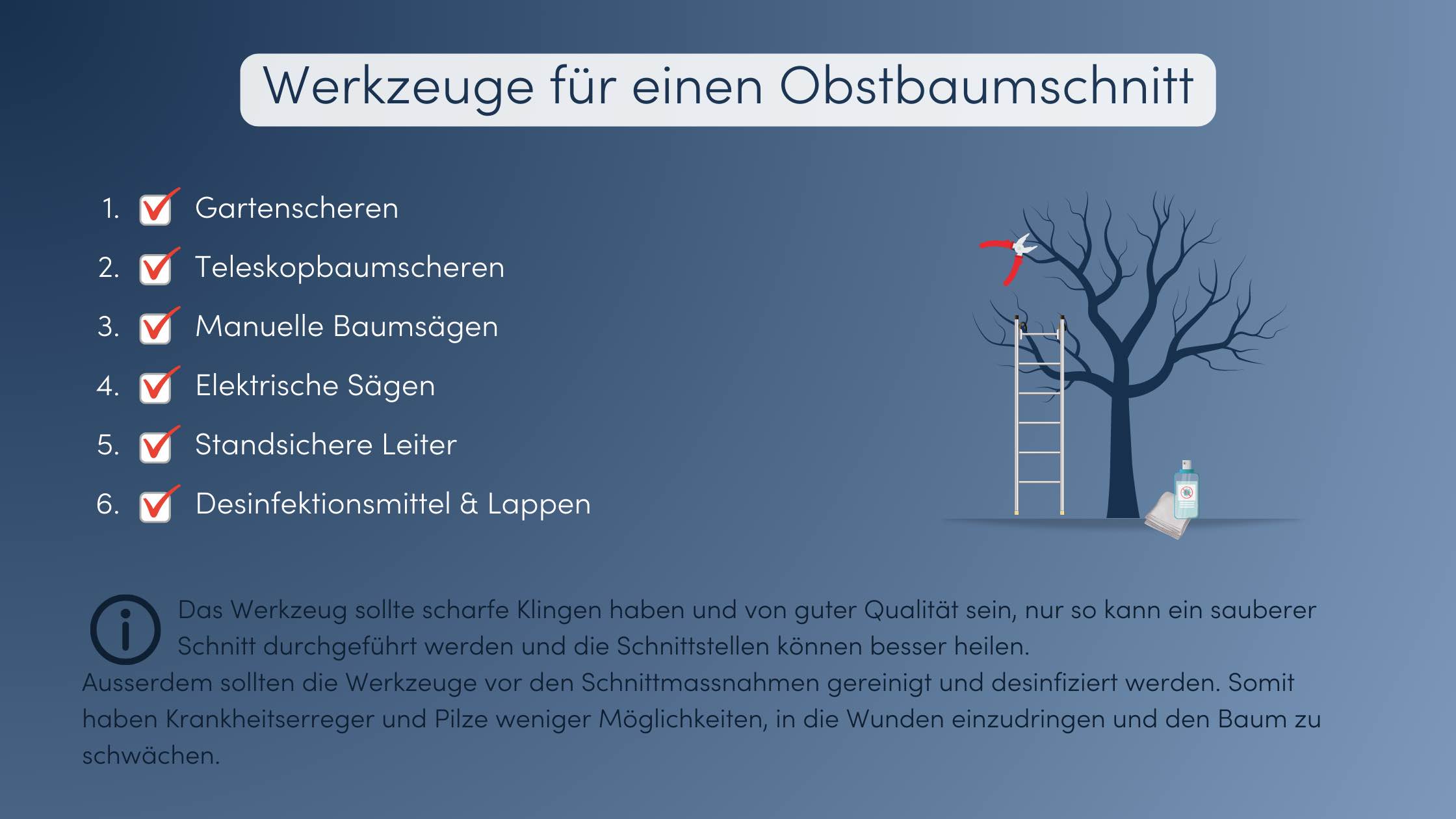 Obstbaum schneiden Grafik Werkzeug