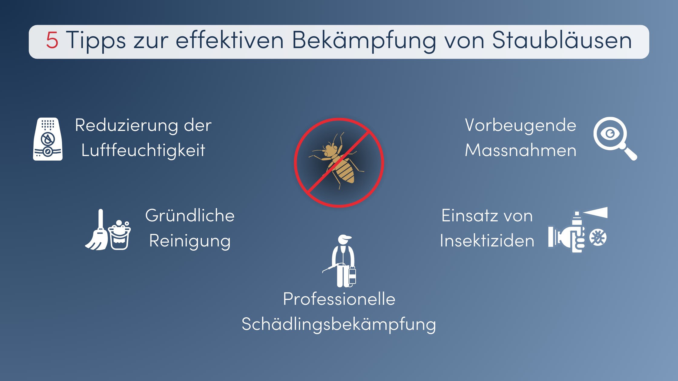 Staubläuse bekämpfen Tipps