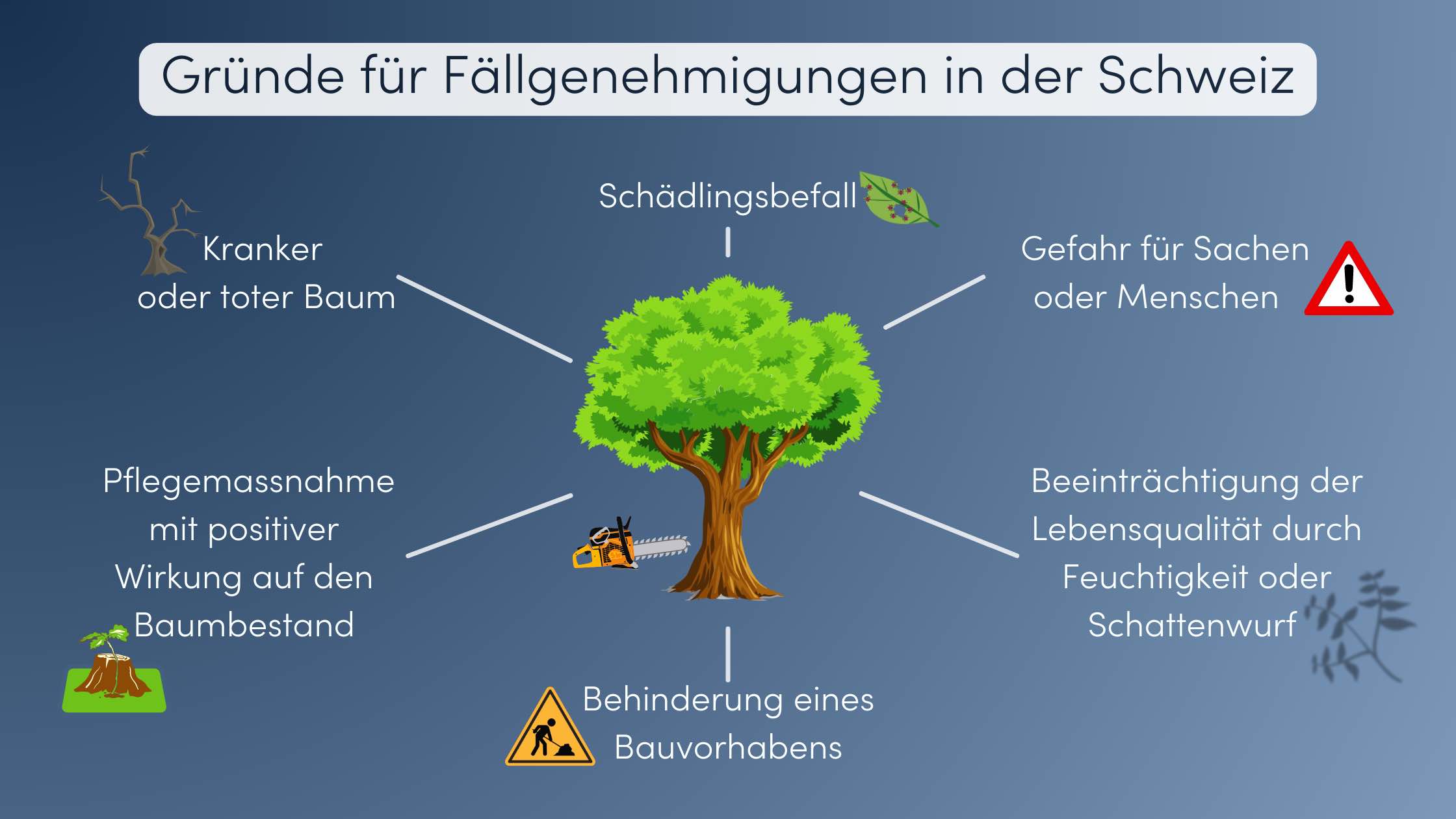 Baum fällen Fällgenehmigung