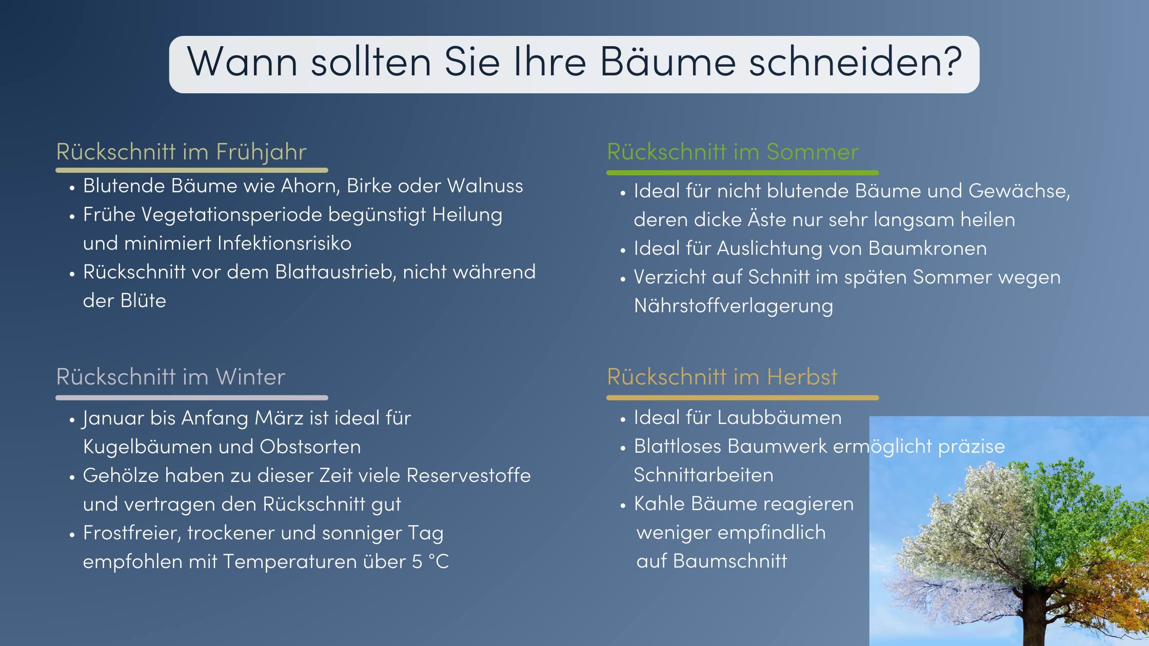 Baum schneiden Jahreszeiten