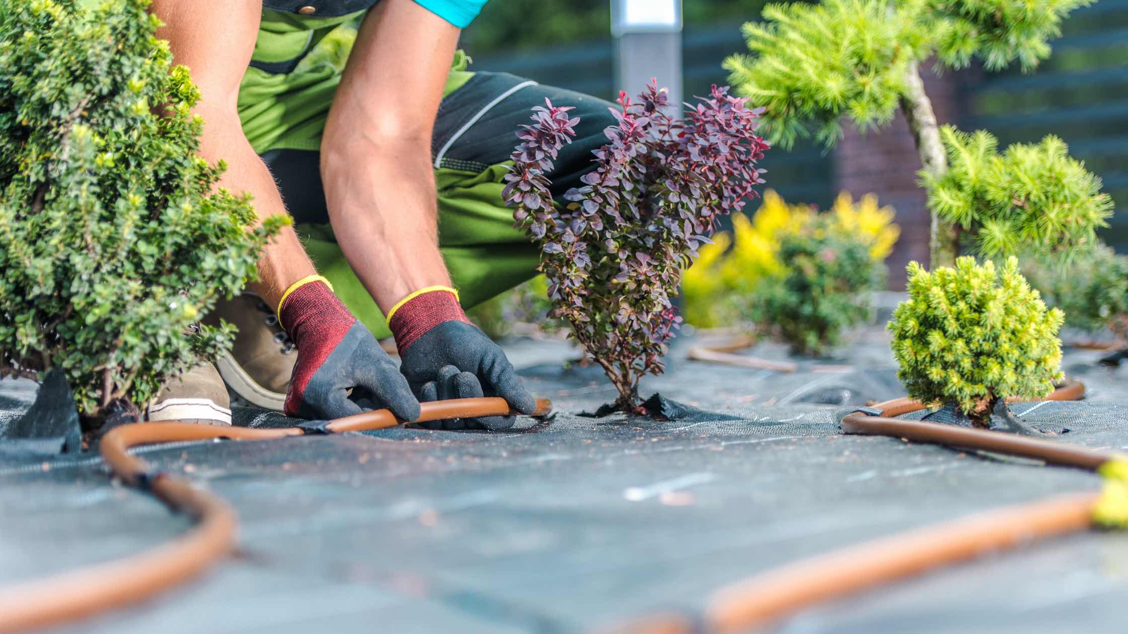 Bewässerung Garten Header