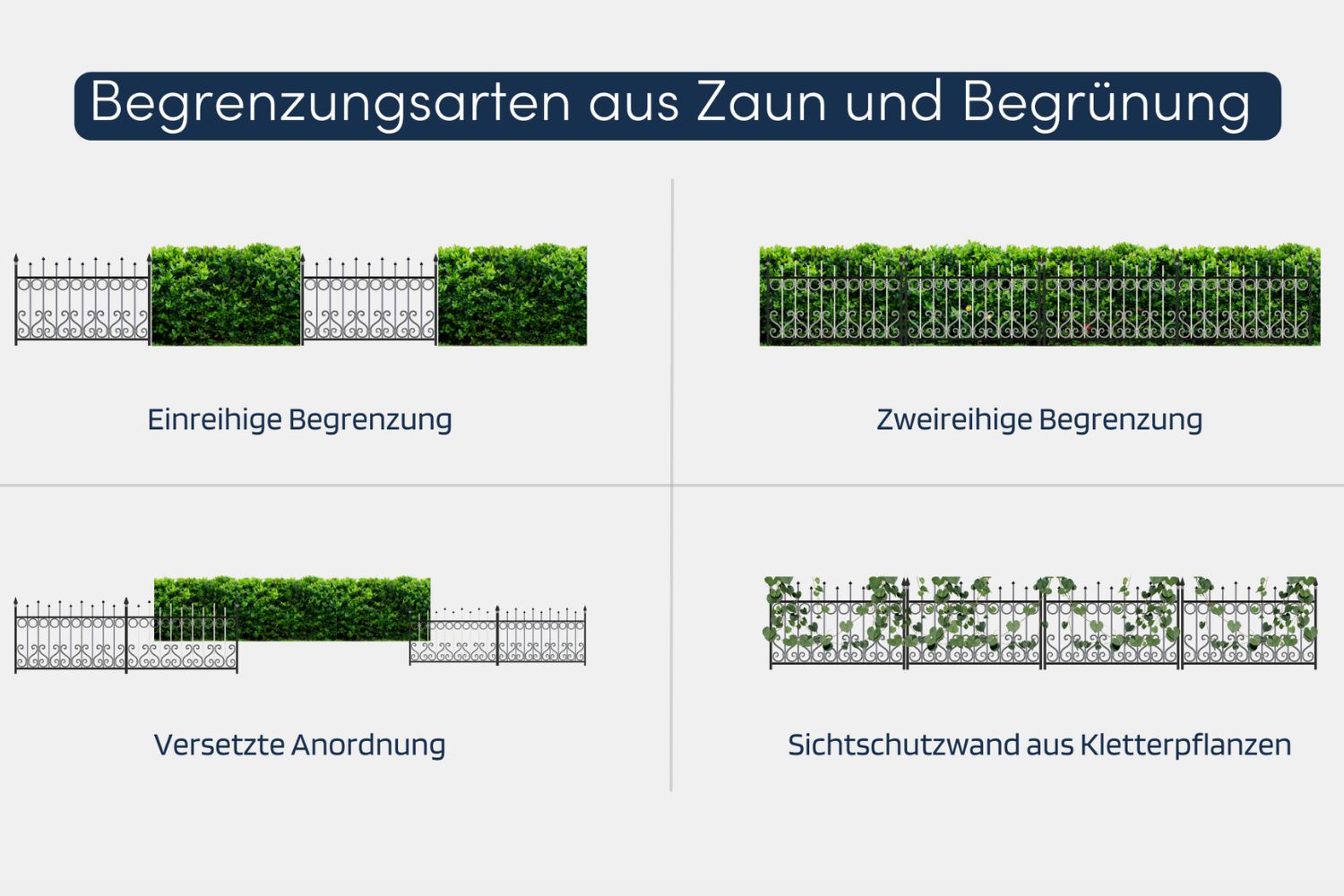 Zaun Hecke Varianten