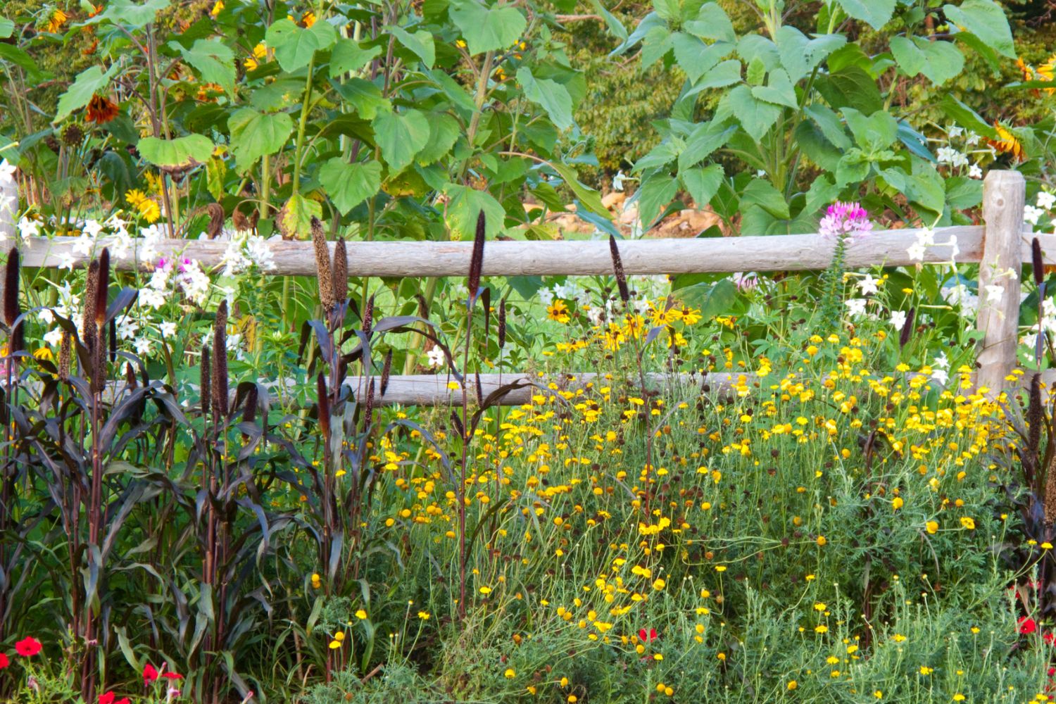 9 Bauerngarten