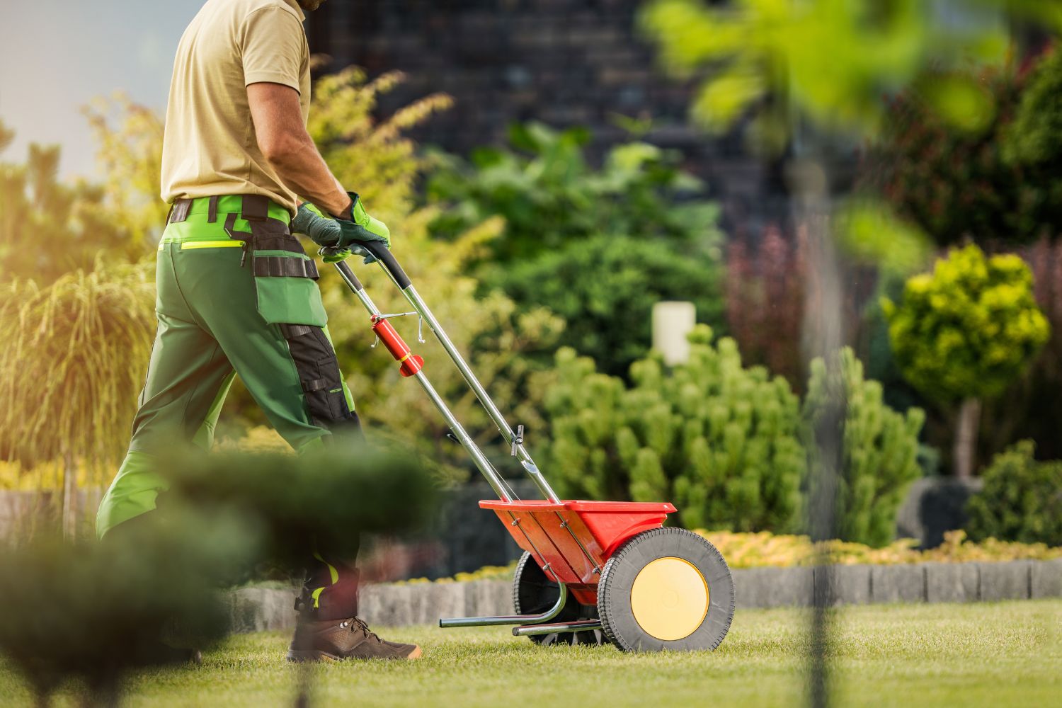 Rasen düngen im Frühling | Buildigo Blog