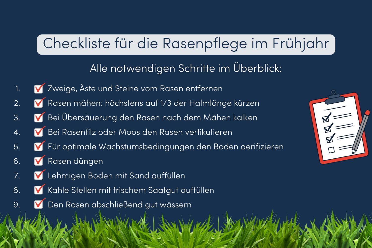 rasen pflegen tipps