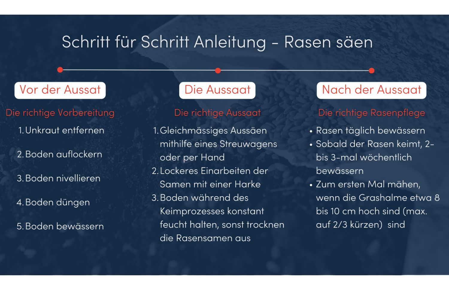 rasen anlegen grafik