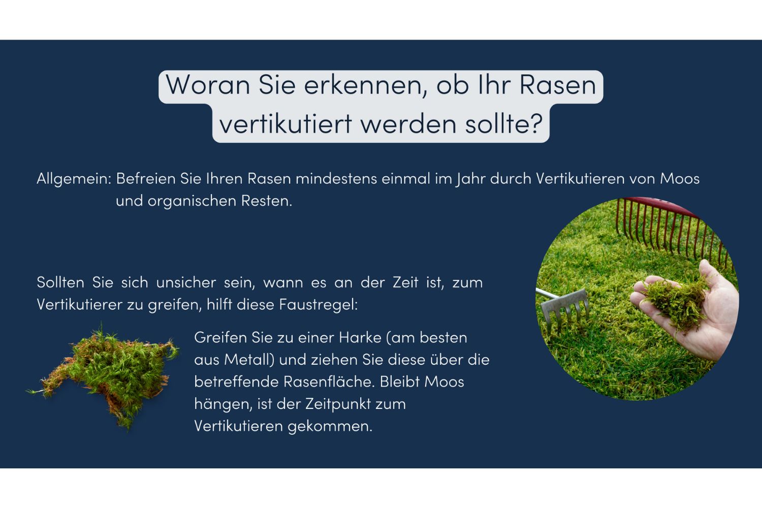 rasen vertikutieren wann