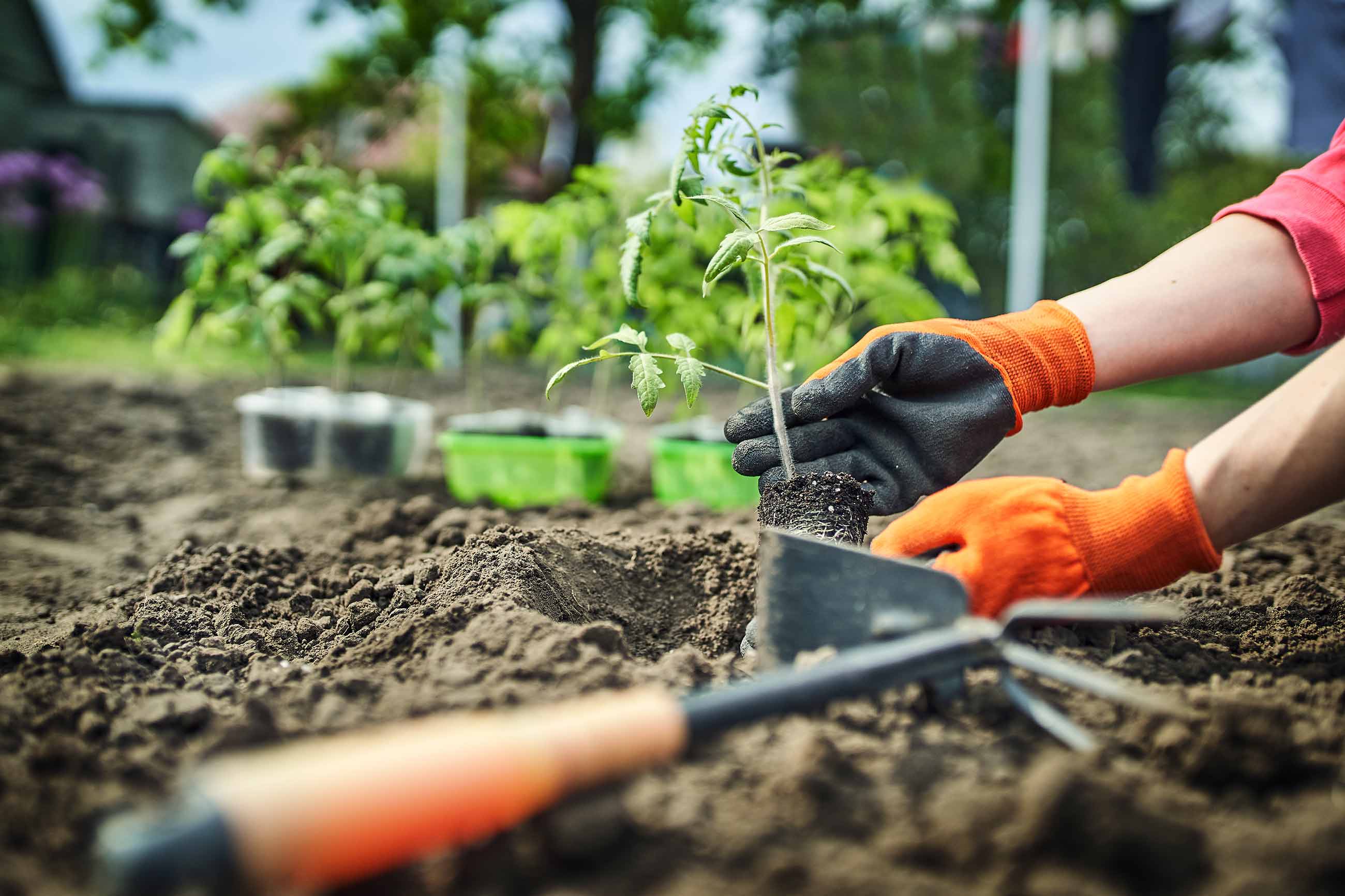 Gartenpflege