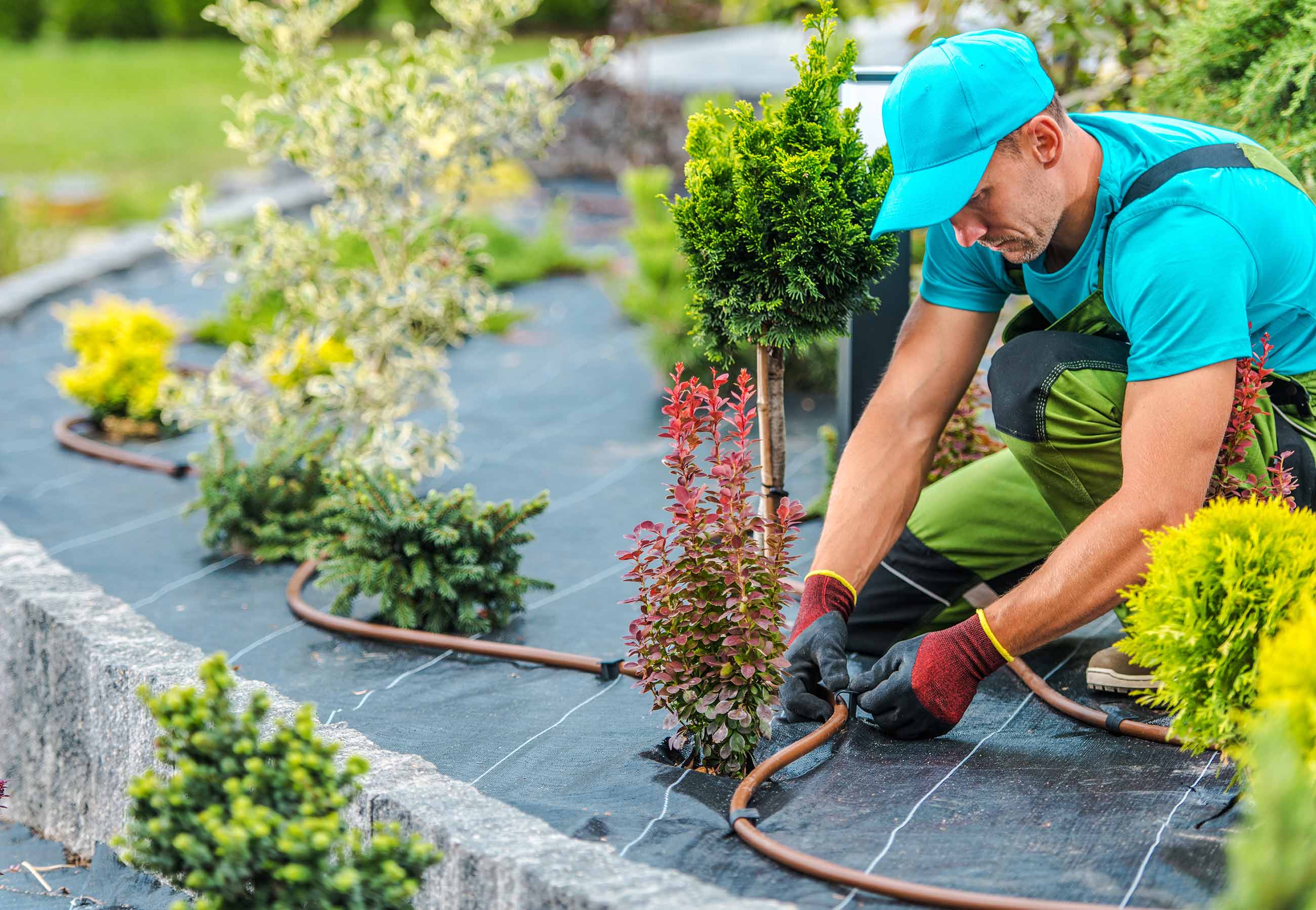 Gartenbau