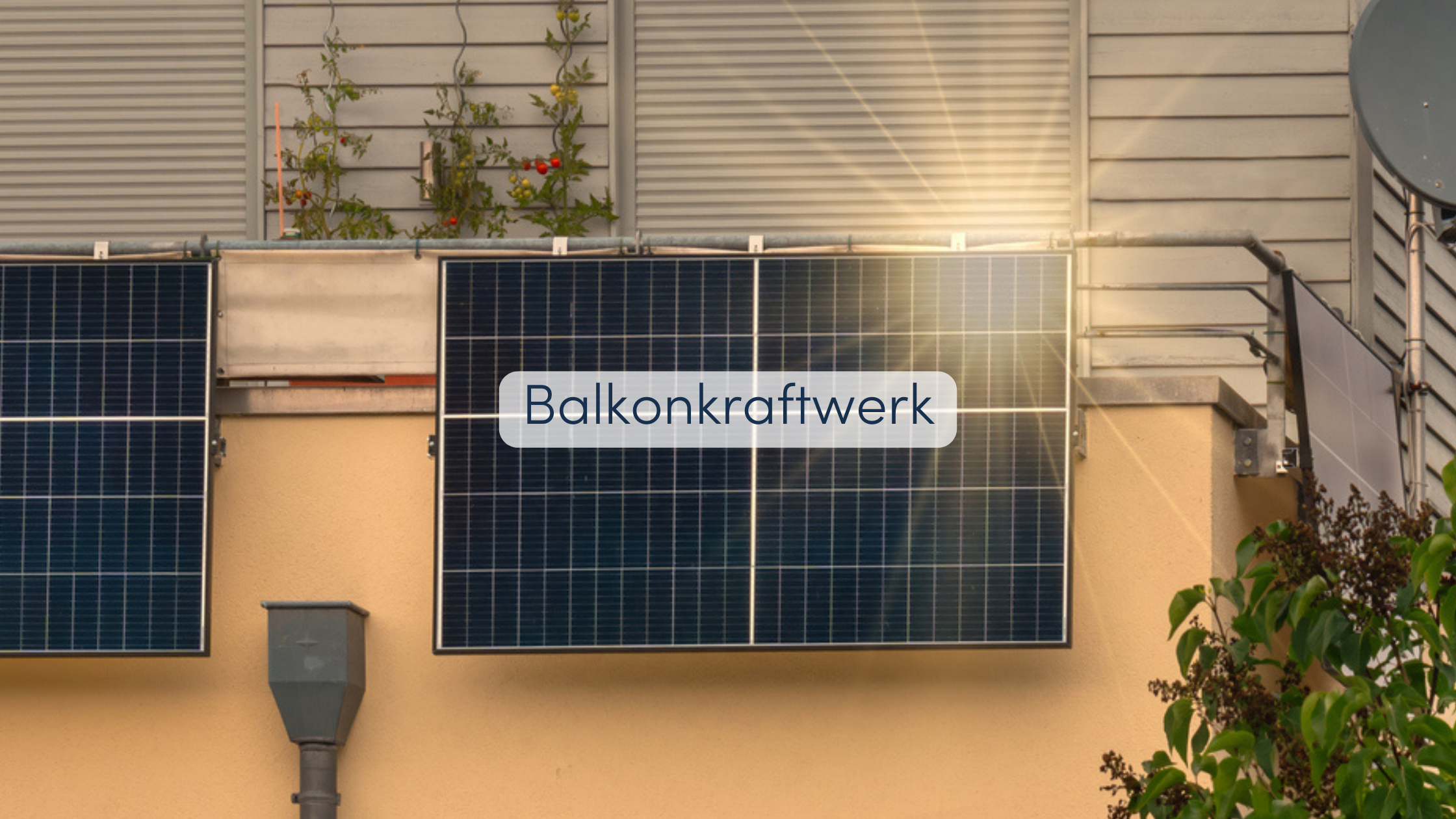 Balkonkraftwerke Schweiz Auswahl