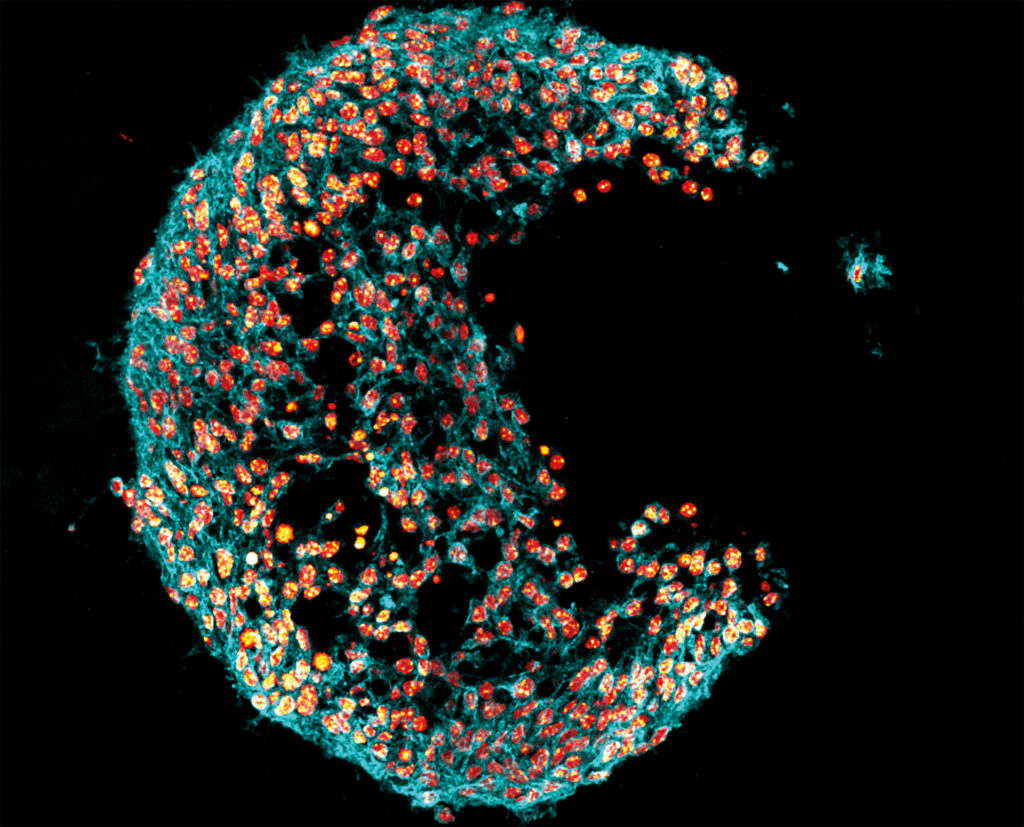 Image for Terms and Conditions