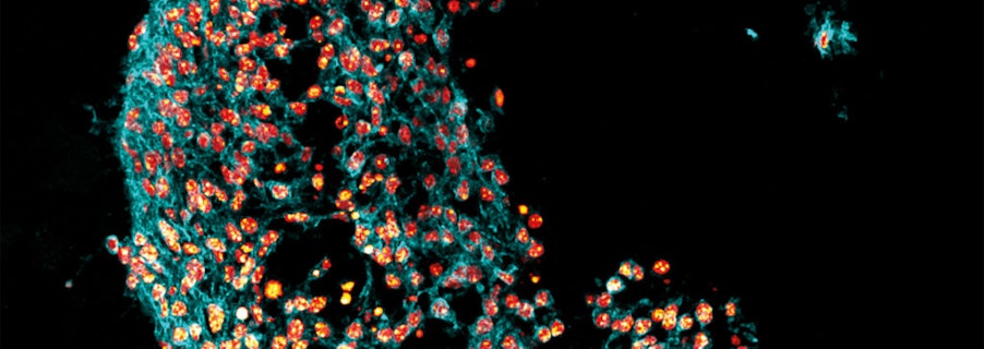 Image for Terms and Conditions