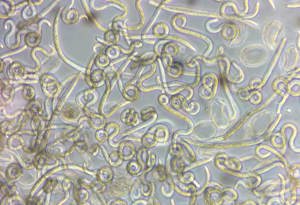 Image for More information 