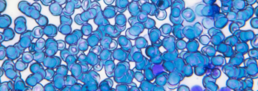 Image for Our Advisory Committees