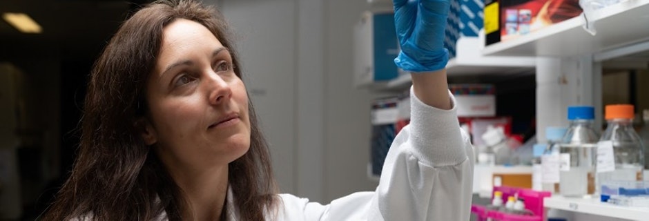 Image for Article | Australian National University