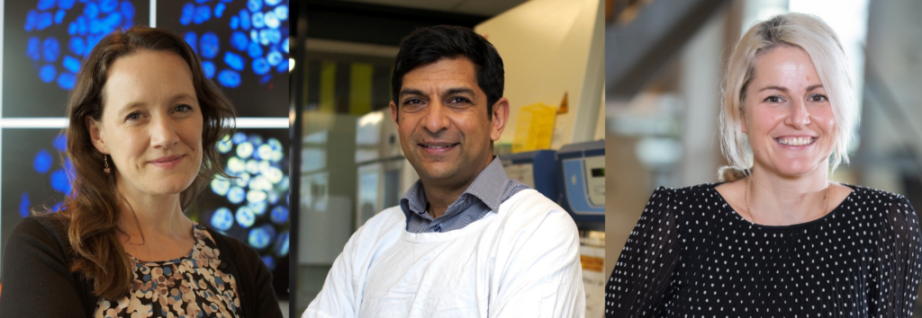 Image for Media Release | Snow Fellowship Recipients 2021