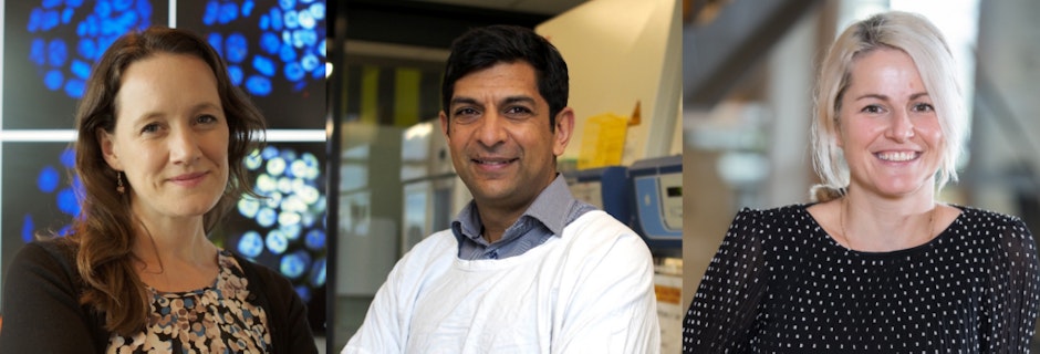 Image for Media Release | Snow Fellowship Recipients 2021