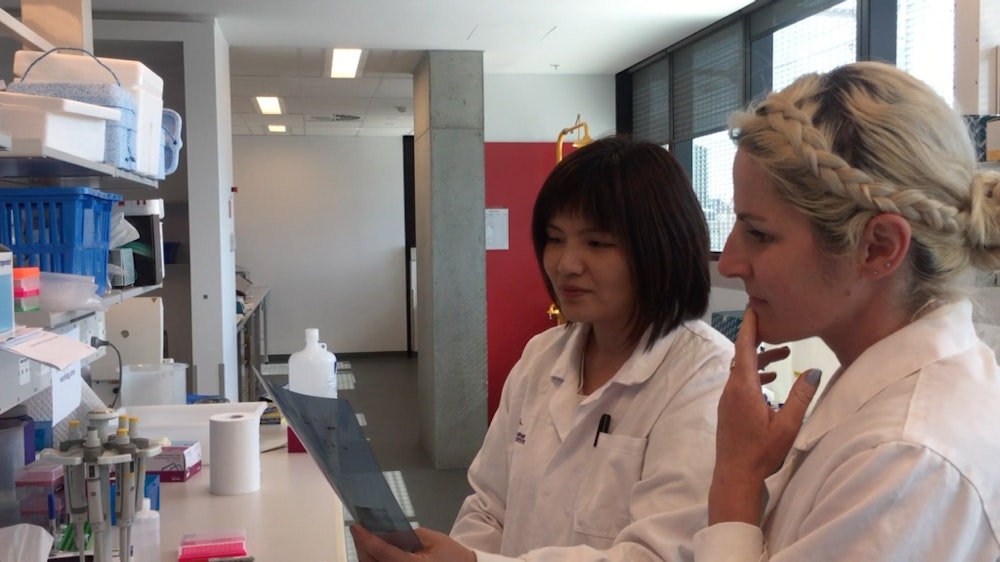 Image for Marina Pajic and lab team