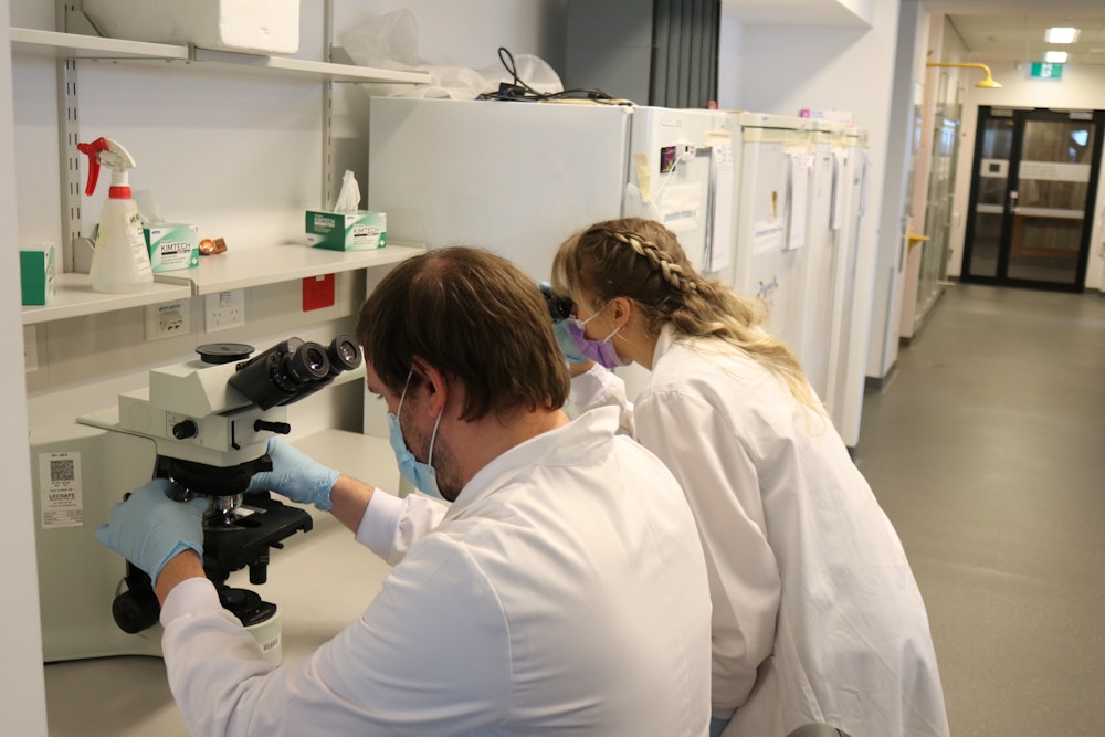 Image for Marina Pajic and lab team