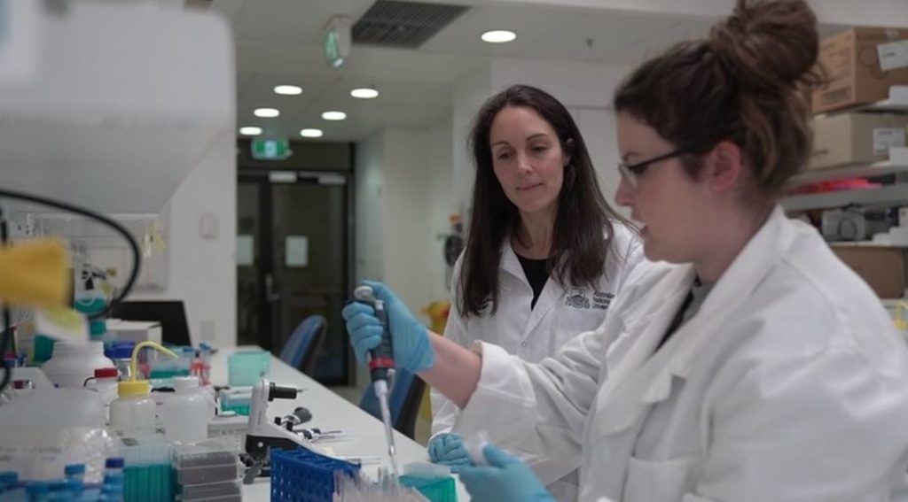 Image for Article | Nine News