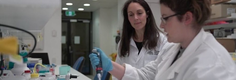 Image for Article | Nine News