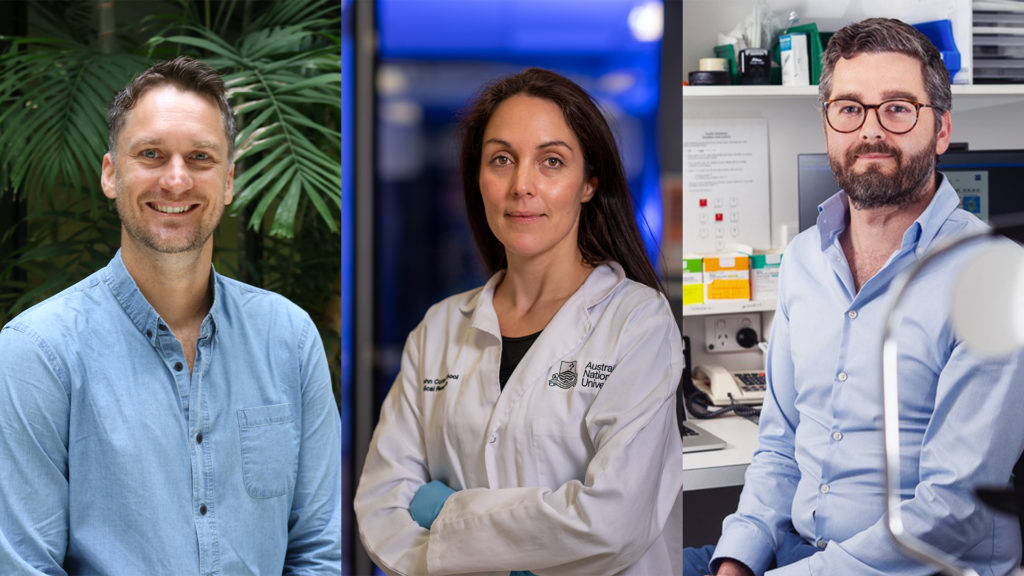 Image for Media Release | Snow Fellowship Recipients 2020