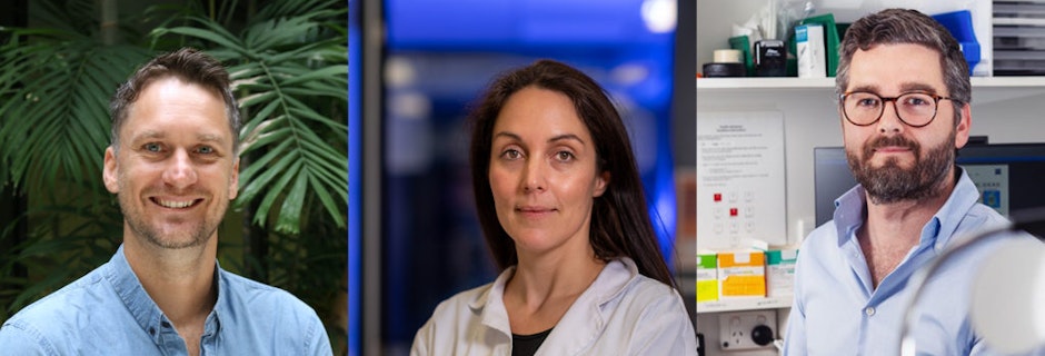 Image for Media Release | Snow Fellowship Recipients 2020