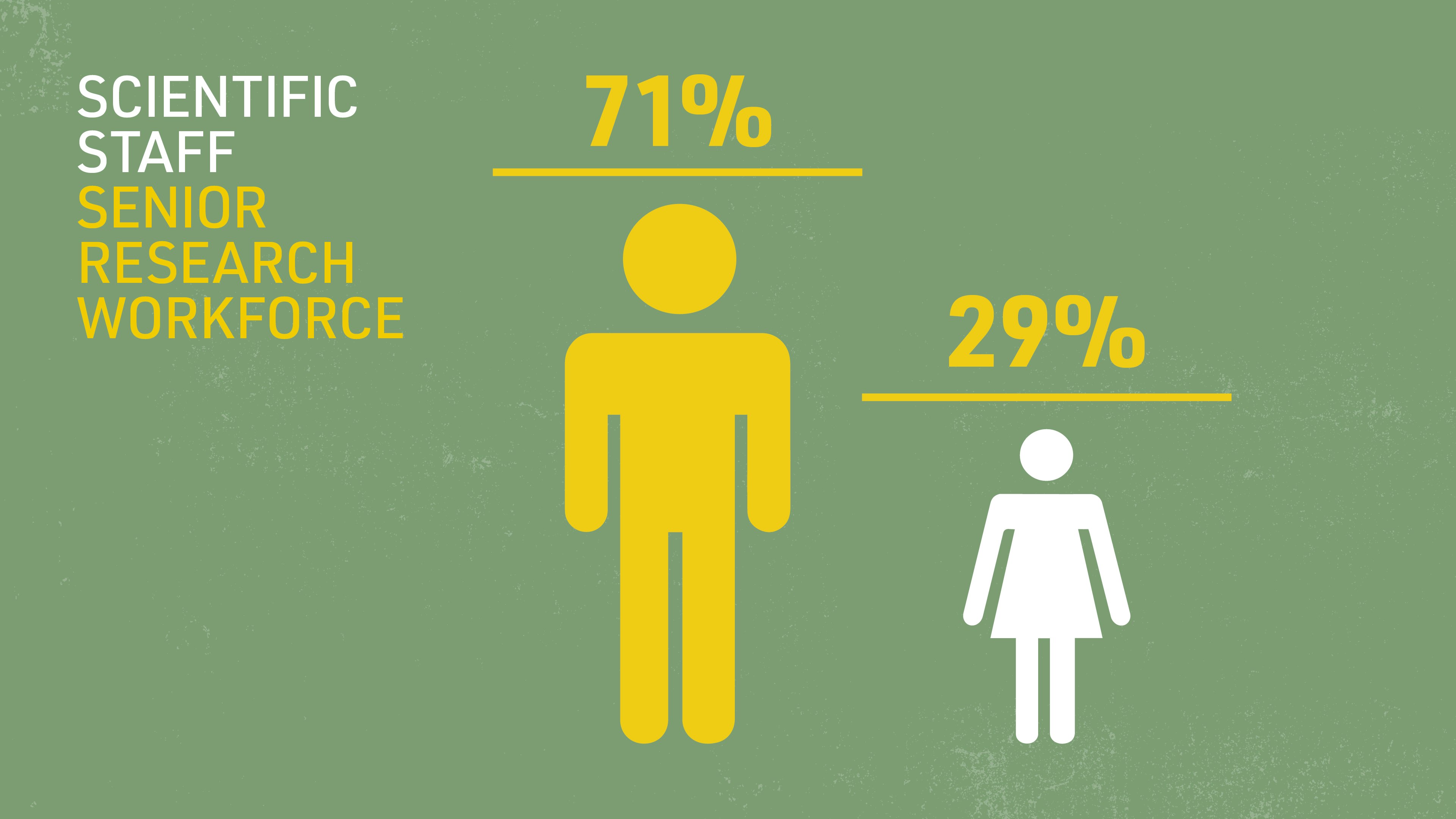 Image for SENIOR RESEARCH WORKFORCE