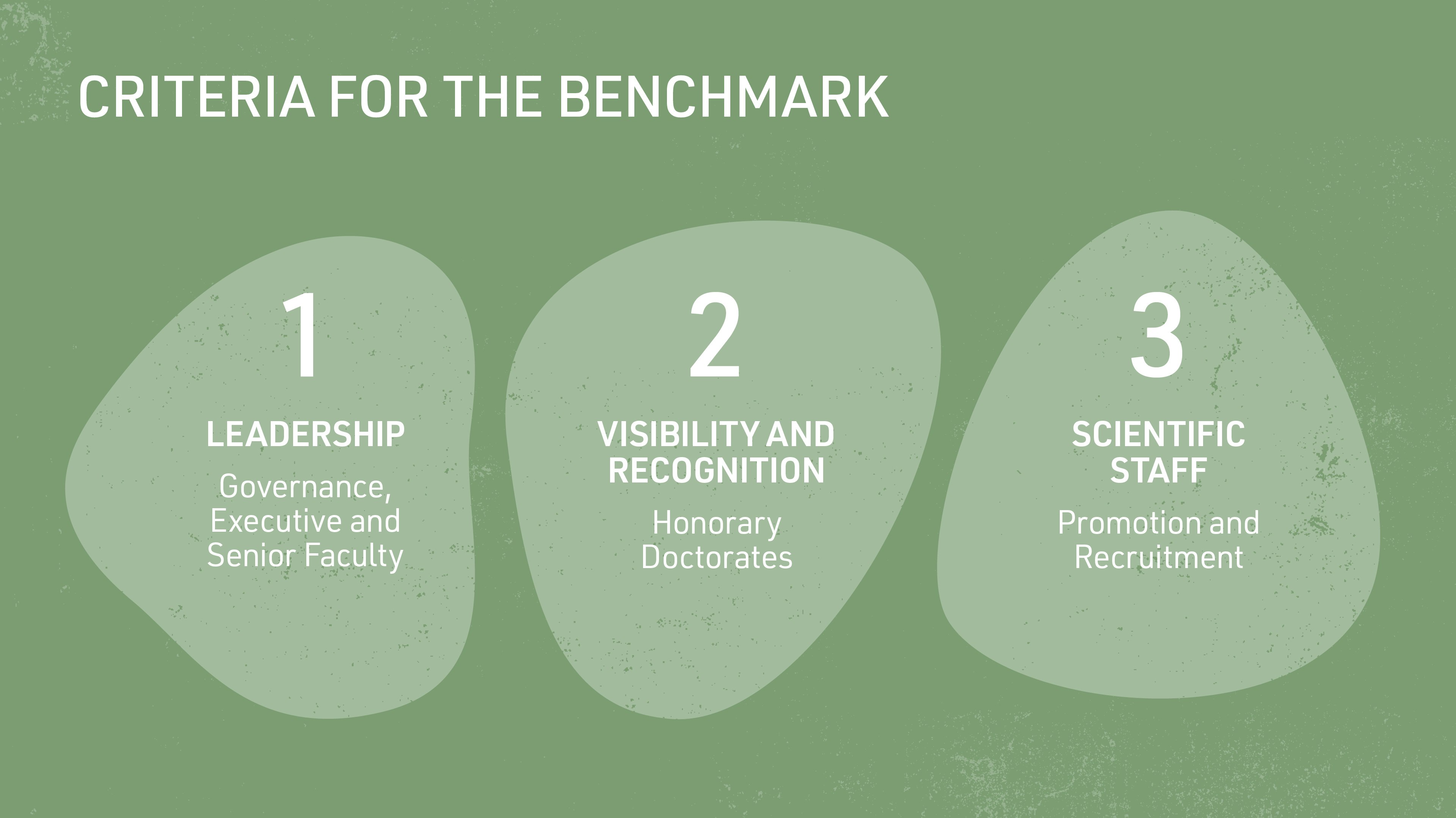 Image for EQUALITY BENCHMARK CRITERIA