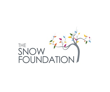 Image for The Snow Foundation