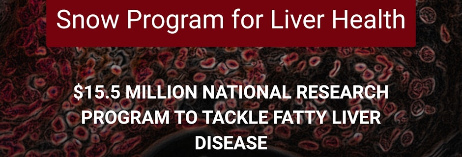 Image for Media Release | The Snow Program for Liver Health
