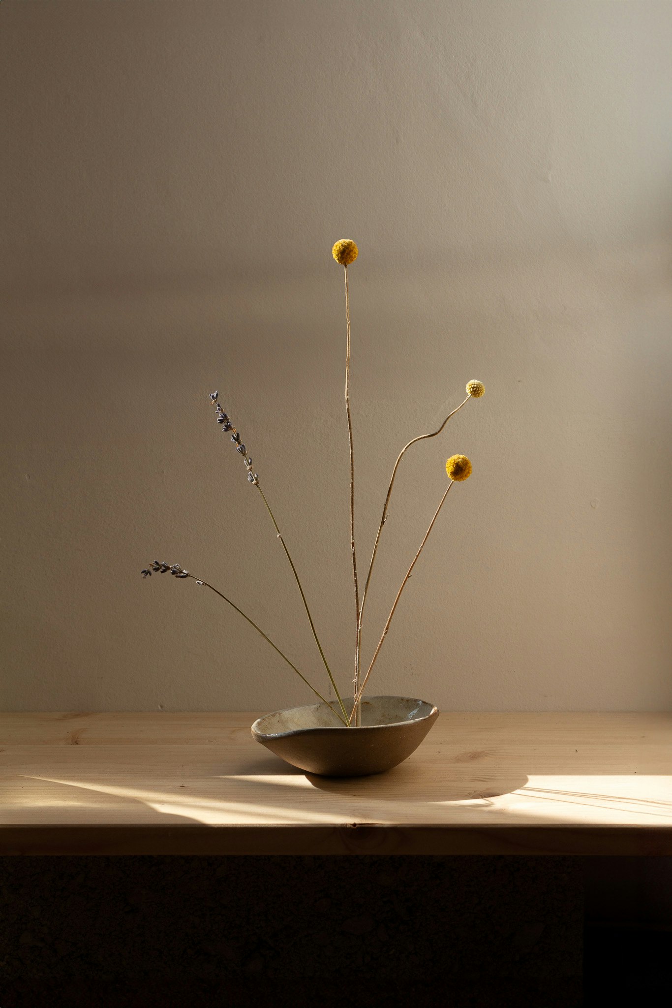 Image of flower