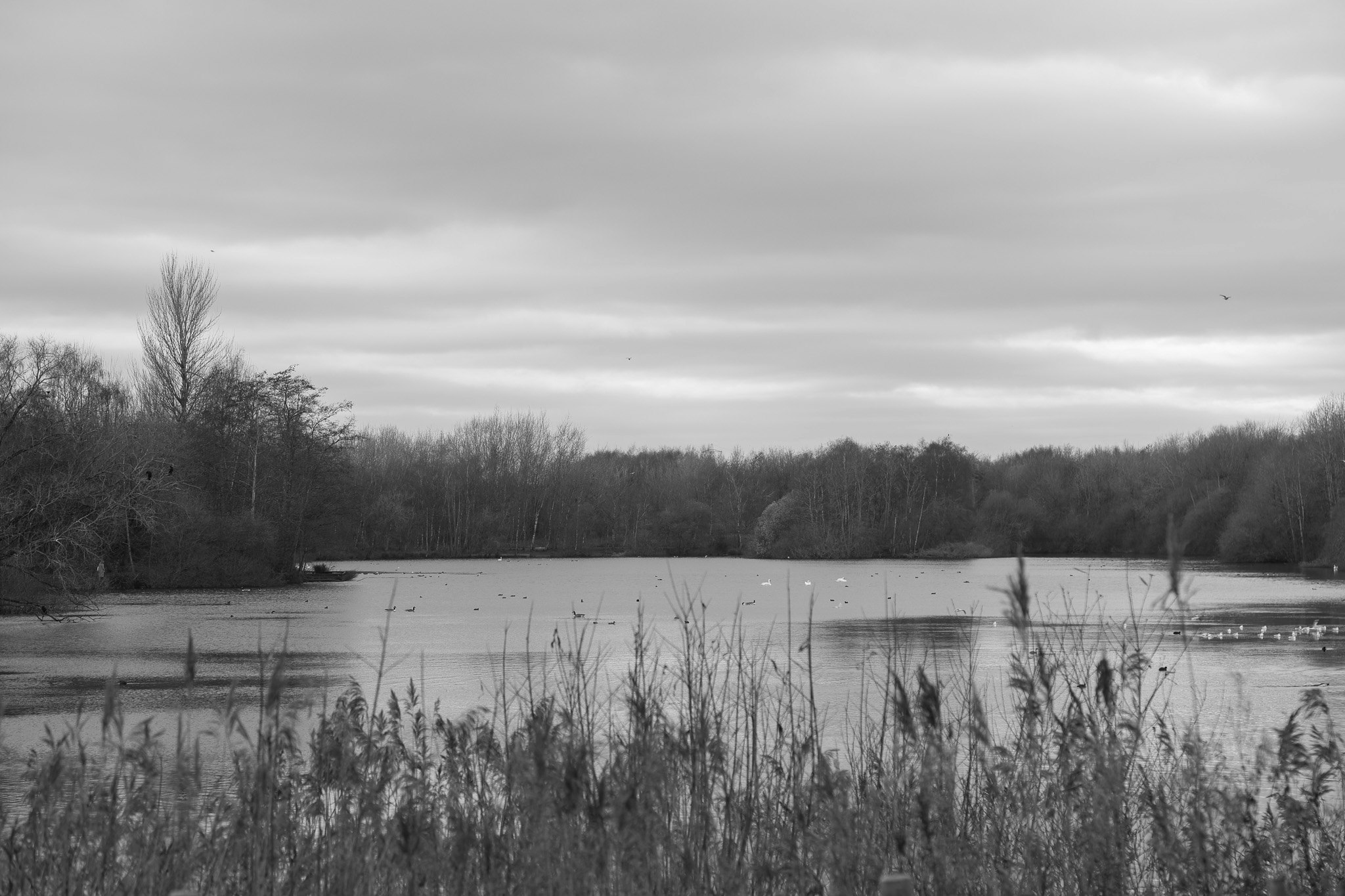 Image of land