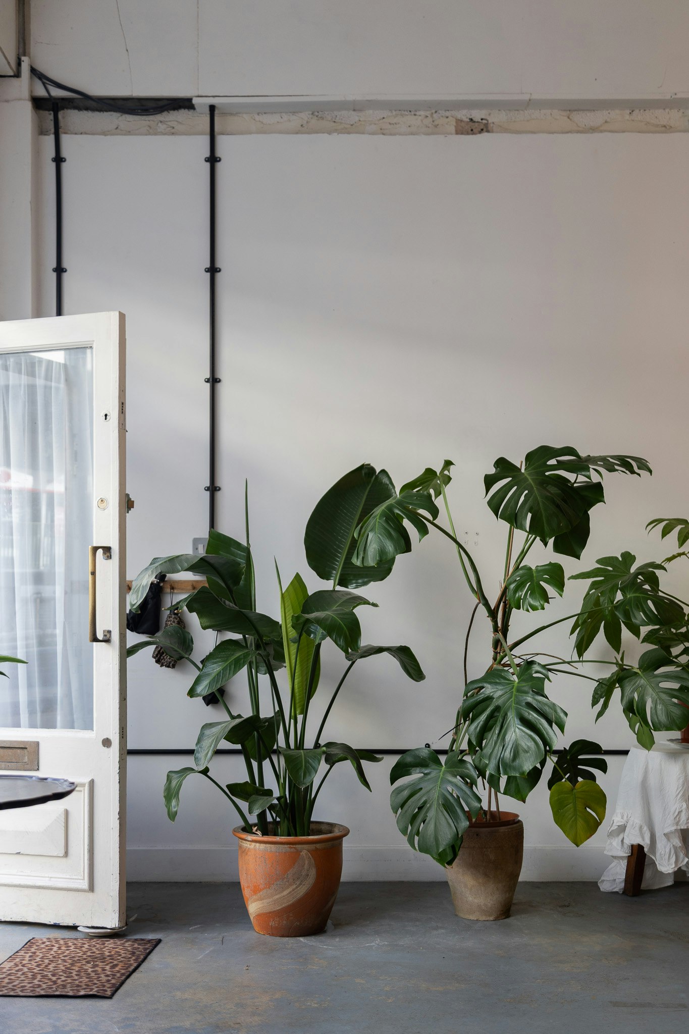 Böhm Stockport Area Guide. Manchester Design Led Estate Agents