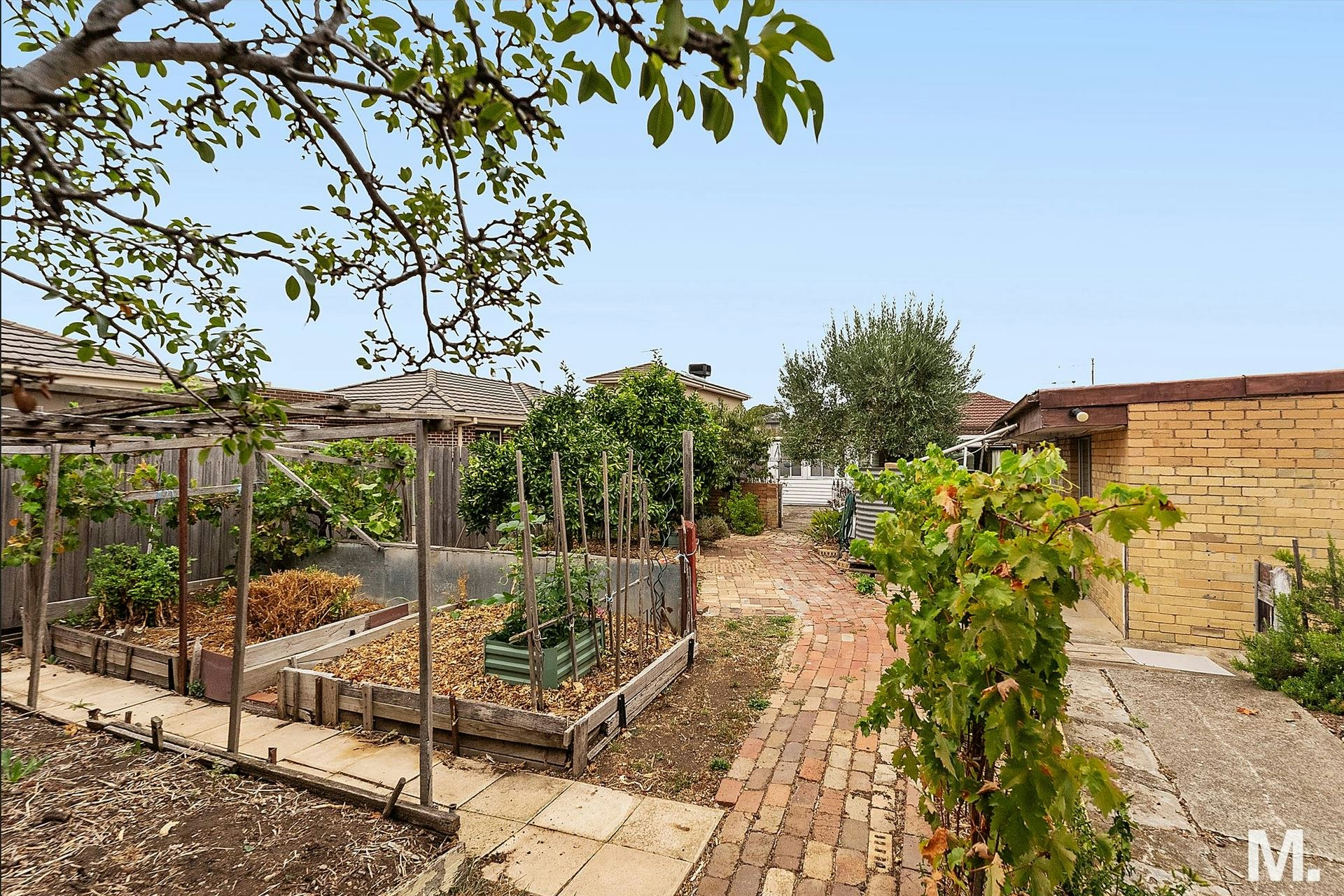 garden