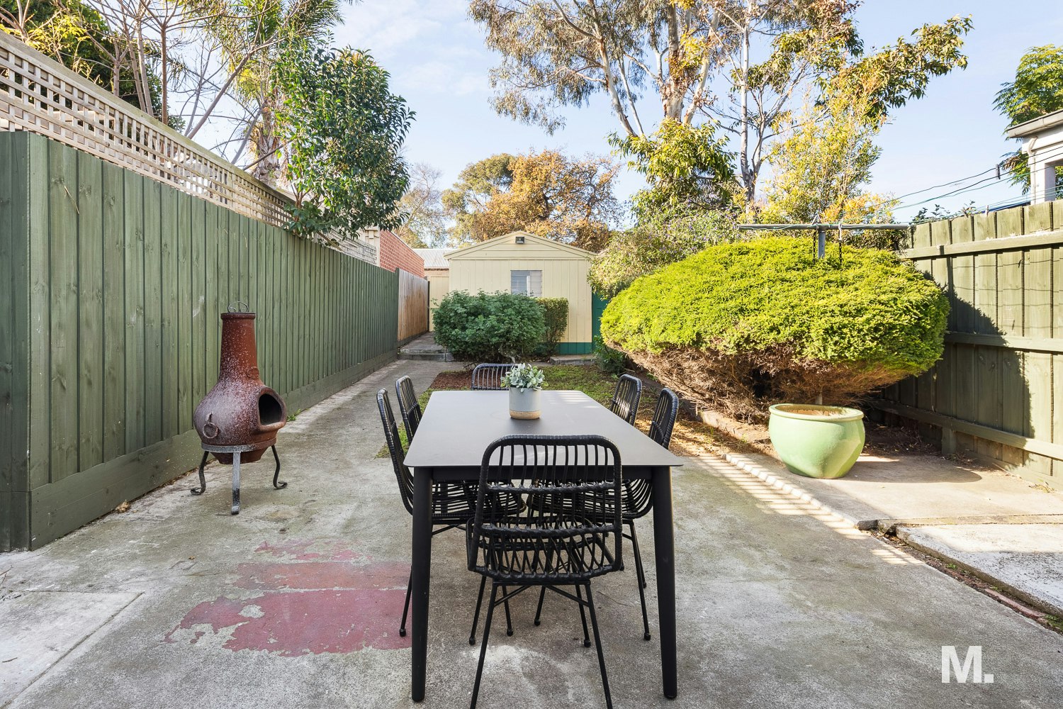 backyard