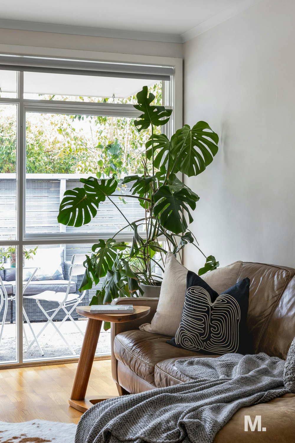 plant