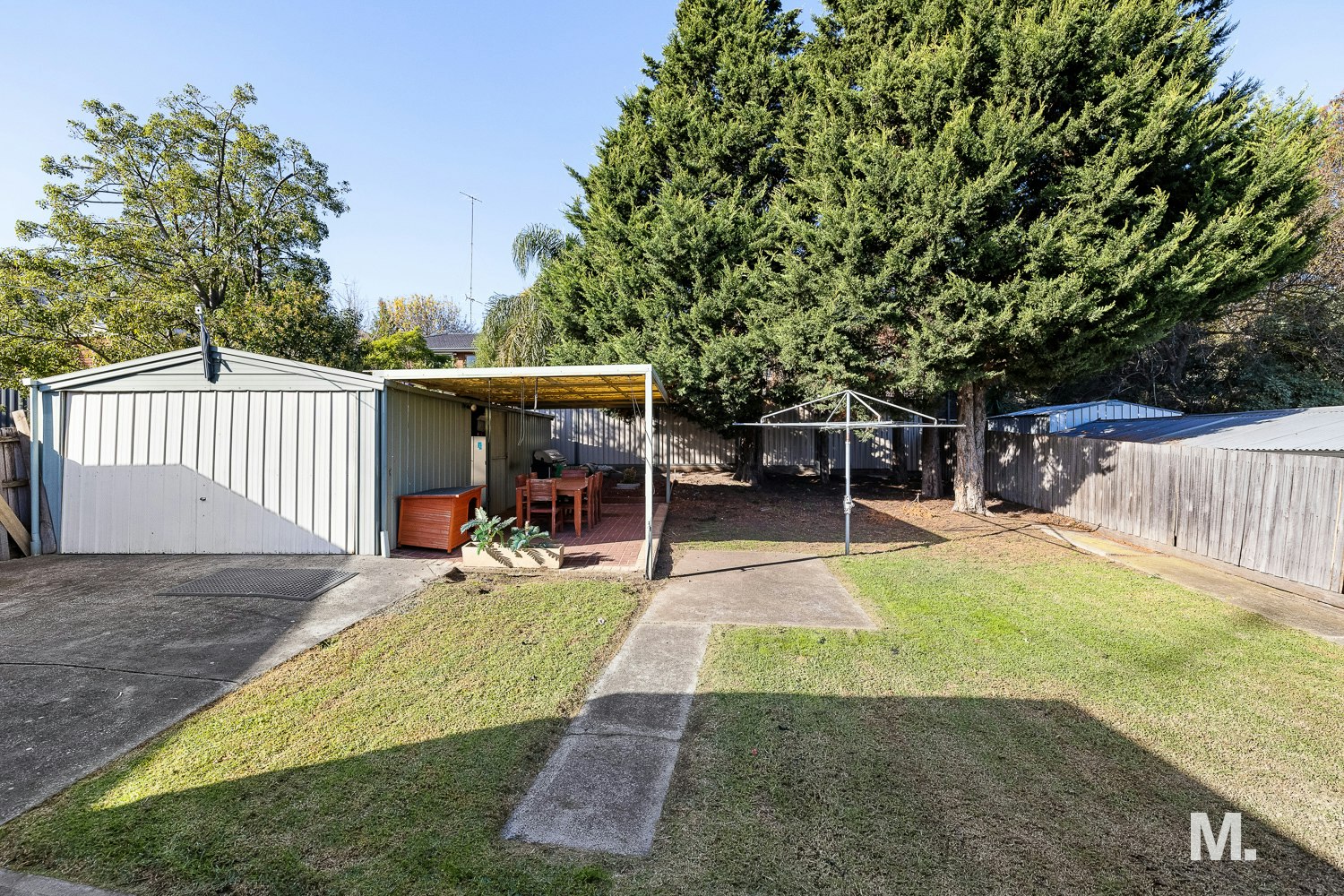 backyard