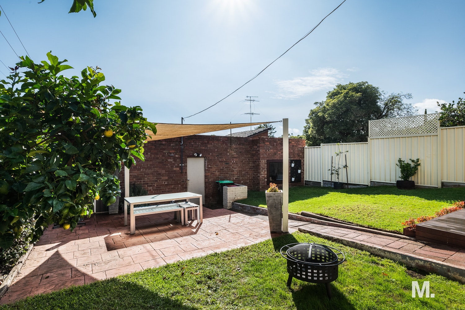 backyard