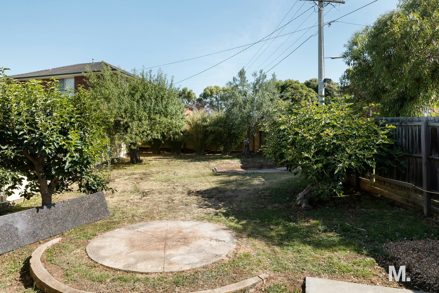 backyard