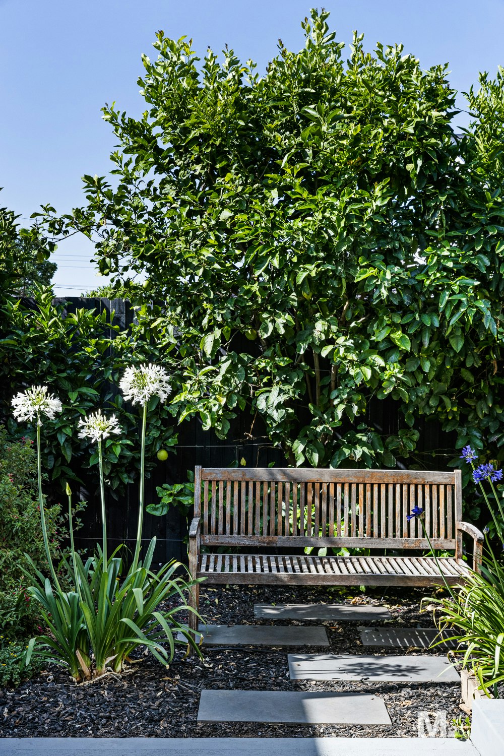 bench