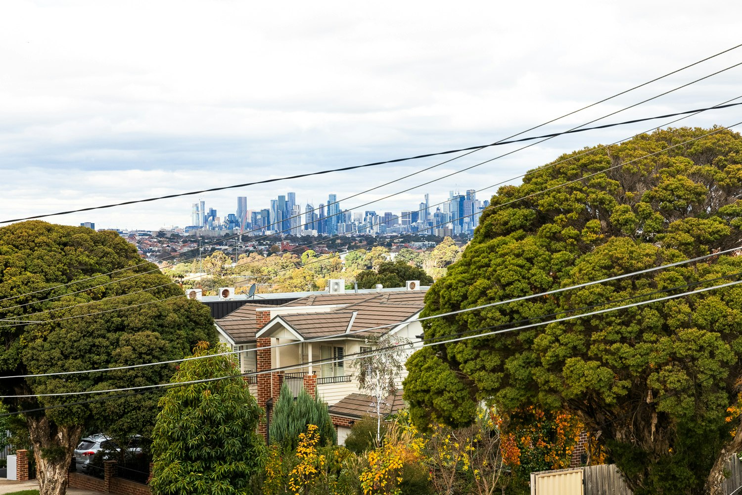 neighborhood