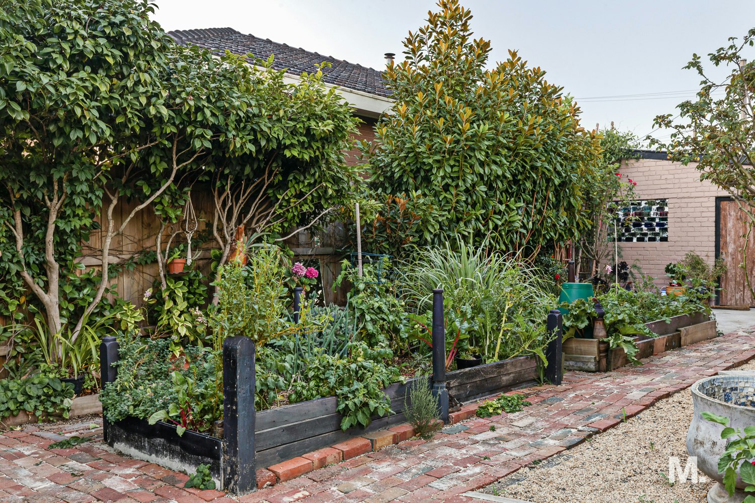 garden