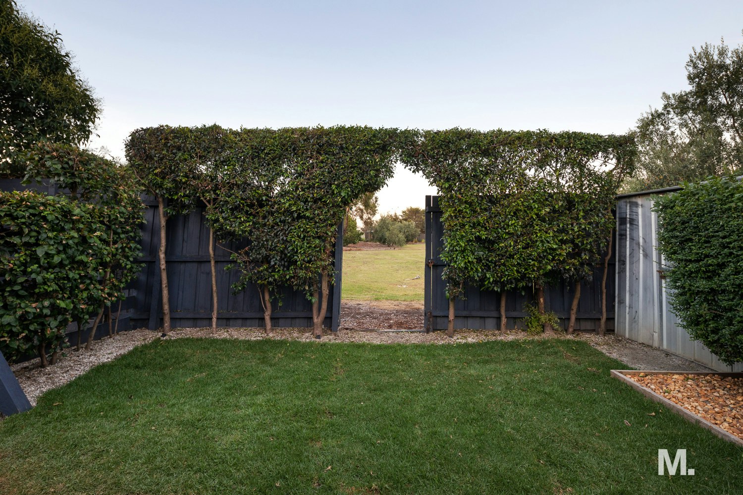 backyard