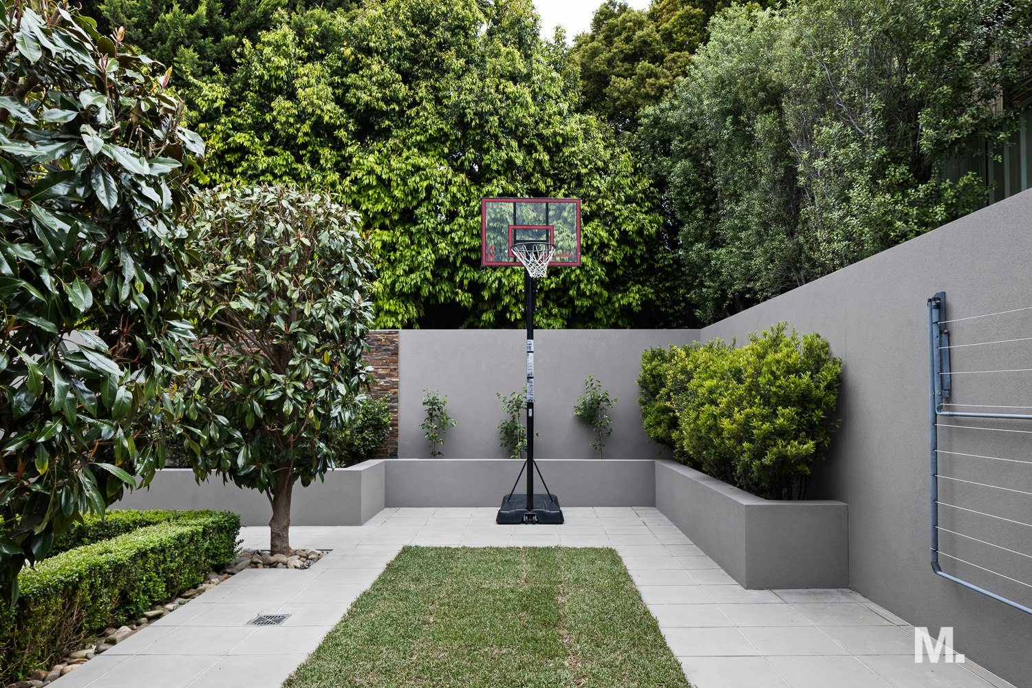 backyard