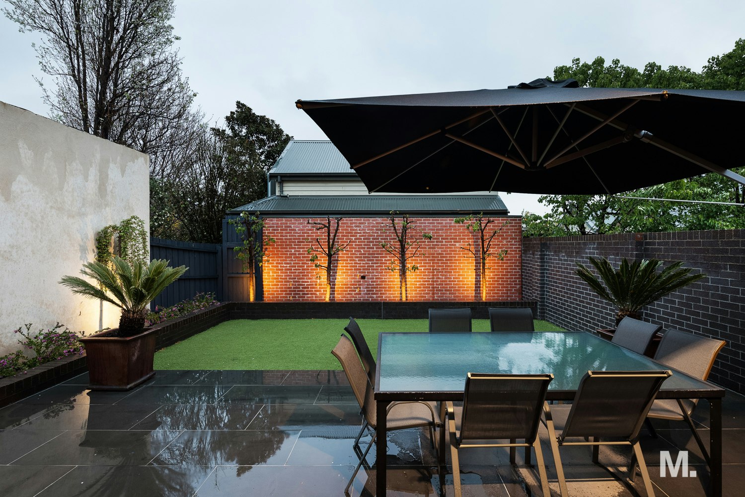 backyard